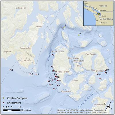 Environmental DNA (eDNA) From the Wake of the Whales: Droplet Digital PCR for Detection and Species Identification